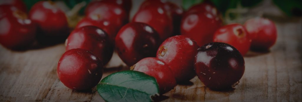 Cranberry_Web_Slides_02