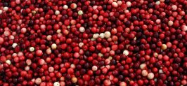 Stock Fresh Cranberries to Drive Seasonal Produce Sales