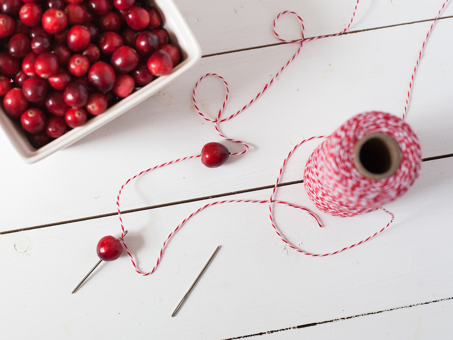 Cranberry Rope Garland » Cranberry Marketing Committee