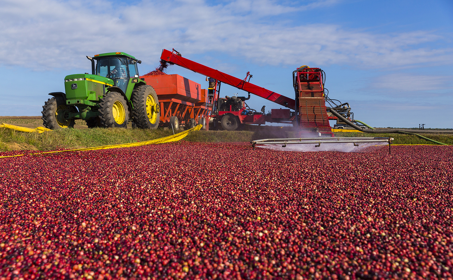 Cranberry Harvest Festival Oregon November 2022 Spring Festival 2022