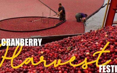 2021 Cranberry Festivals